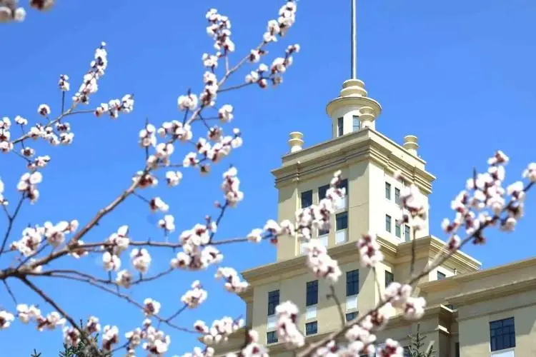 黑龙江大学